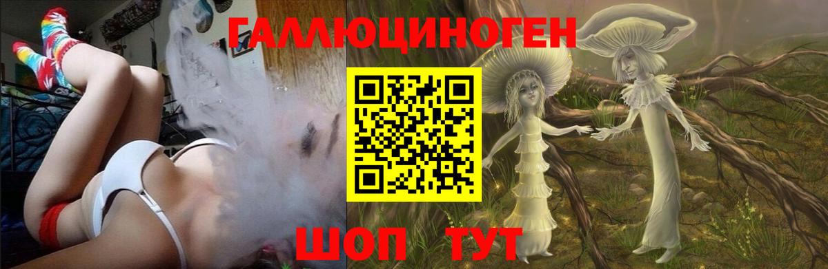 Славгород  Галлюциногенные грибы MAGIC MUSHROOMS  Псилоцибиновые грибы MAGIC MUSHROOMS  Вход с VPN 