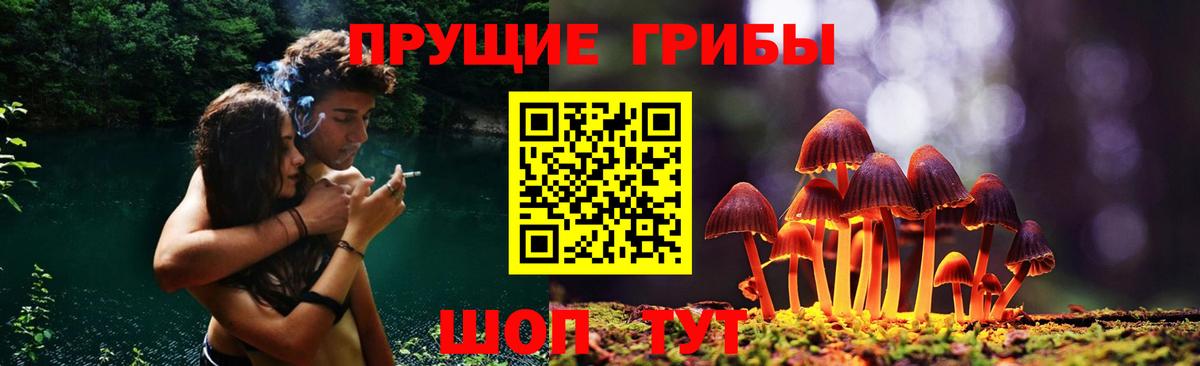 Псилоцибиновые грибы мухоморы Славгород